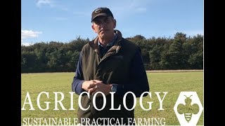 Sainfoin Nutritional Analysis  Agricology Vlog Sept 18 [upl. by Elset]