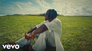 Stonebwoy  Into The Future Official Music Video [upl. by Airehs]