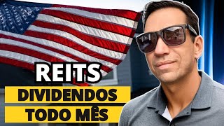 Melhores REITS 2024 Dividendos MENSAIS [upl. by Deck]