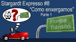 Stargardt Expresso 8 Como enxergamos  Patetadas [upl. by Drawd]