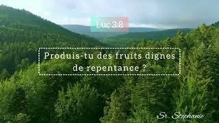 Produistu des fruits dignes de repentance   The Bread Of LifeV510 [upl. by Namilus]