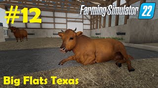 LS22 Big Flats Texas 12 radikaler Umbau am Kuhstall Honig amp Eierverkauf  Farming Simulator 22 [upl. by Burtie]