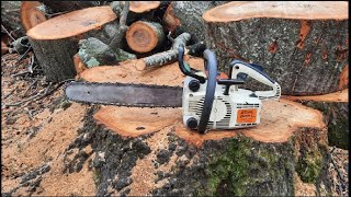 Stihl 009L 💪💪VINTAGE 36 CC KING💪💪 [upl. by Berny892]