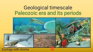 Geological timescale  Paleozoic era and its periods [upl. by Nylarad]