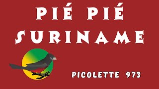 PIE PIE SURINAME [upl. by Ashwin]