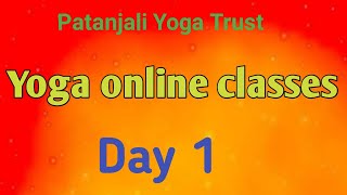 Yoga Online Classes ll Yoga wellness Program [upl. by Sherm5]