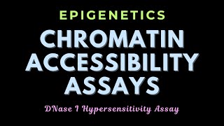 DNase I hypersensitivity assay  Chromatin remodeling assays  Epigenetics  GATECSIRNET [upl. by Weber874]