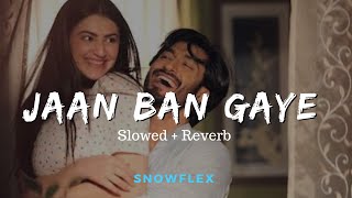 Jaan Ban Gaye Slowed  Reverb [upl. by Ilwain]