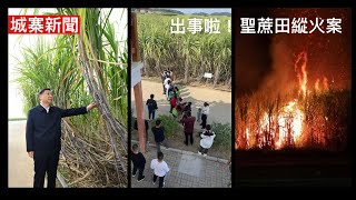 城寨新聞 12 Jan 2024突發大事：廣西聖蔗田縱火案 馬英九為民進黨助選 大陸通縮深圳要吸港人錢 買Costco股票好過去搶毛公仔 左膠革命：CK廣告英國下架加拿大中學傳單教安全吸冰毒 [upl. by Nollaf]