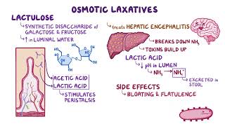 osmotic laxatives [upl. by Xuaegram461]