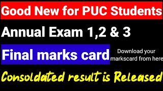 2nd PUC Annual exam combined result 2024final marks card 2024 final exam 12amp3 results link ksea [upl. by Ejrog263]