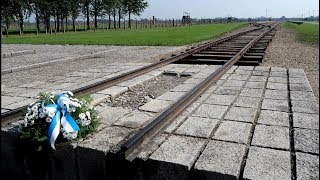 BIRKENAU Auschwitz II TOUR  The Disturbing Sorting Platform [upl. by Sucramed]