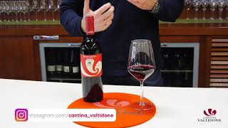 Bonarda vivace Doc  Linea Viti e Vini Cantina Valtidone [upl. by Adnimra288]