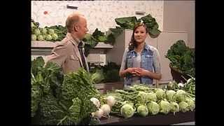 quotJunges Gemüsequot  Kohlrabi Spitzkohl Mairübchen und Co [upl. by Lorelle]