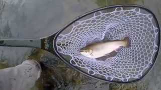 Fly Fishing on the Tuckasegee River Located on the WNC Fly Fishing Trail [upl. by Anitselec403]