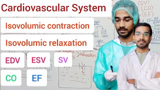 Isovolumic ContractionRelaxationPeriod of ejection cardiovascularsystem SV EF EDV ESV HR [upl. by Aikym]