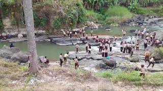 Keseruan LINTAS ALAM Pramuka MTs Takhassus AlQuran Kaliwiro [upl. by Mlohsihc]