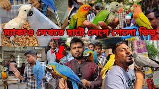 ম্যাকাও পাখির দাম টিয়া পাখির বাচ্চা এসেছেমিরপুর ১ পাখির হাটMirpur 1 pakhir HaatMacaw price BD [upl. by Yelik944]