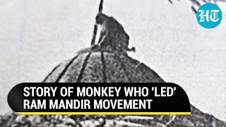 Divine Monkeys Image From Ram Mandir Movement Viral Iconic Tale Resurfaces [upl. by Cilla]