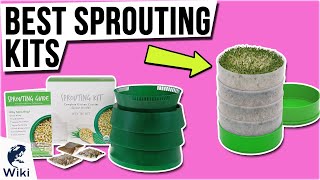 10 Best Sprouting Kits 2021 [upl. by Mchail647]