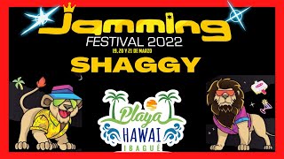 JAMMING FESTIVAL 2022  SHAGGY [upl. by Aira]