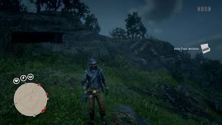 RDR2 Online Dane Topaz Necklace  Roanoke Ridge [upl. by Ogram]