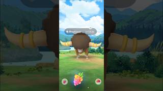 Bouffalant pokemon 18k cp  Easy for beginners  Near new york pokemongo [upl. by Anastas]