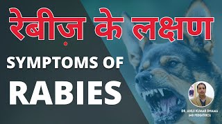 Symptoms of Rabies in Humans amp Animals  रेबीज के लक्षण  Rabies vaccine  Sign of Rabies in Hindi [upl. by Silver410]