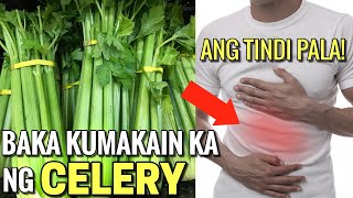 Eto pala ang matinding epekto sa katawan ng pagkain ng CELERY [upl. by Olav]