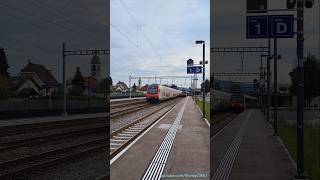 Vier Zugsichtungen beim Bahnhof Rupperswil [upl. by Acirema]