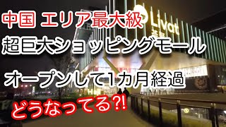 中国超巨大ショッピングモール、オープン1カ月後の現状 上海市长宁区上海荟聚 Livat 2024年11月15日撮影 [upl. by Yenial761]