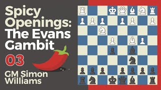 03 Spicy Openings The Evans Gambit  The Theory Behind The Beauty BY Chesscom [upl. by Argyle]