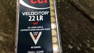 22LR CCI Velocitor  0047 40gr CPHP Velocity Test 5quot Barrel [upl. by Arbmat]