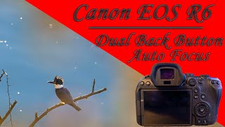 Canon EOS R6  Dual Back Button Auto Focus  Wildlife Setup [upl. by Beulah91]