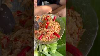 Spicy Pork Salad with Rice Under a Beautiful Tree  Authentic Cambodian Flavor [upl. by Savory]