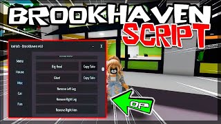 TOP  Brookhaven Script 2023 Very OP [upl. by Eibot269]