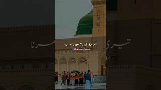 Ya Nabiﷺ Salam  Syed Zabeeb Masood sacredpearls salam ytshorts yt islamic naat foryou [upl. by Beach]