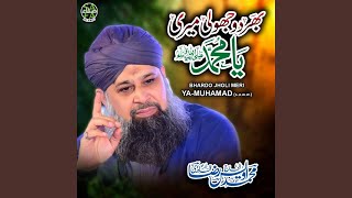 Bhardo Jholi Meri Ya Muhammad [upl. by Genevra368]