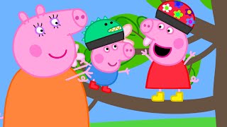 Peppa sobe em uma árvore  Peppa Pig Portuguese Brazil Episódios completos [upl. by Lianna]