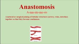 Anastomosis Pronunciation and Definition  How to pronounce anastomosis [upl. by Ogaitnas340]