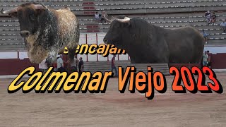 Desencajonamiento Colmenar Viejo 2023 [upl. by Carman]