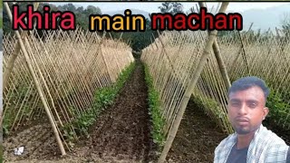 khira ki kheti mein machan kaise banate। खीरा की खेती में माचान कैसे बनाते farming sangki khira [upl. by Peppie19]