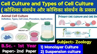 Cell Culture Monolayer culture and Suspension culture Types of cell culture Happybiologyclass [upl. by Aramak16]