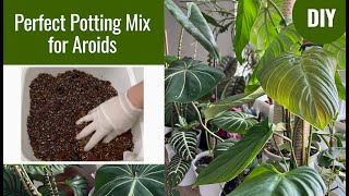 How To Make Perfect Aroid Potting Mix SOIL FREE for Healthy and Thriving Aroids [upl. by Amiel171]