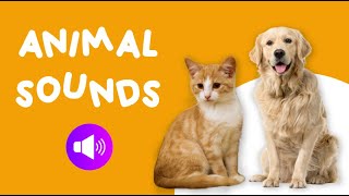 Animals Sounds for Children  20 Amazing Animals [upl. by Esnohpla815]