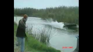 GIANT EEL ATTACKS AND EATS DOG AT SEASIDE  MUST BE WATCH [upl. by Tombaugh736]