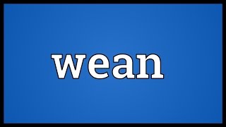 Wean Meaning [upl. by Ellerd]