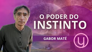 O Poder do INSTINTO [upl. by Ettezyl]