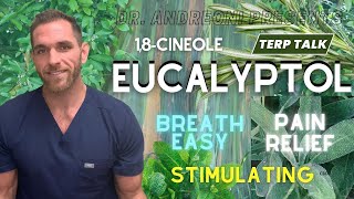 Eucalyptol  An Amazing Terpene [upl. by Navy195]