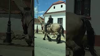 ROMANIAN LIFE STYLE Horse romania trip [upl. by Iruam744]